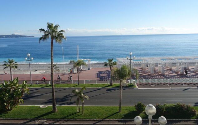 Les Yuccas Promenade des Anglais - Photo 19