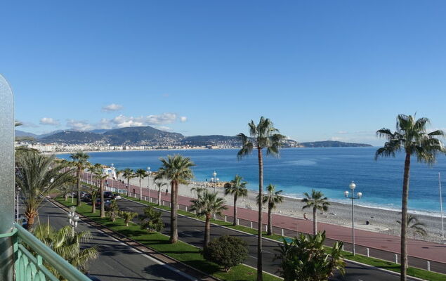 Les Yuccas Promenade des Anglais - Photo 20
