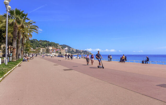 Les Yuccas Promenade des Anglais - Photo 23