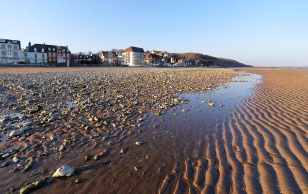 Les Marines - Photo 18