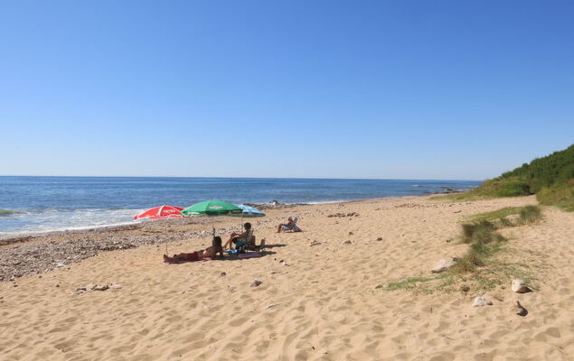 Le Goeland Argenté - Photo 18