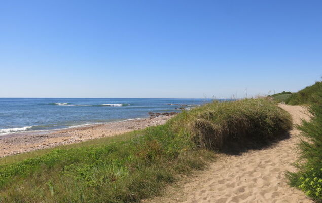 Le Goeland Argenté - Photo 20