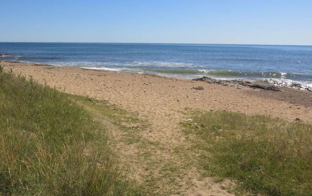 Le Goeland Argenté - Photo 21