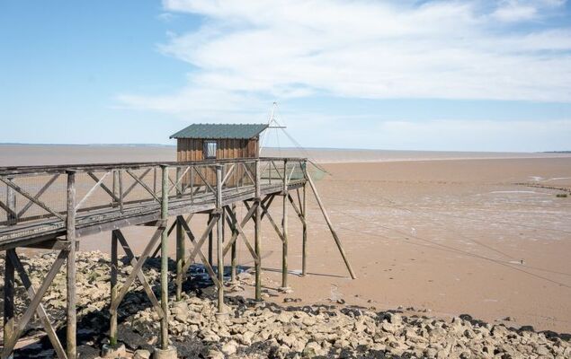 Les Alcyons Studio Cabine - Photo 21